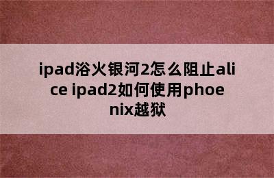 ipad浴火银河2怎么阻止alice ipad2如何使用phoenix越狱